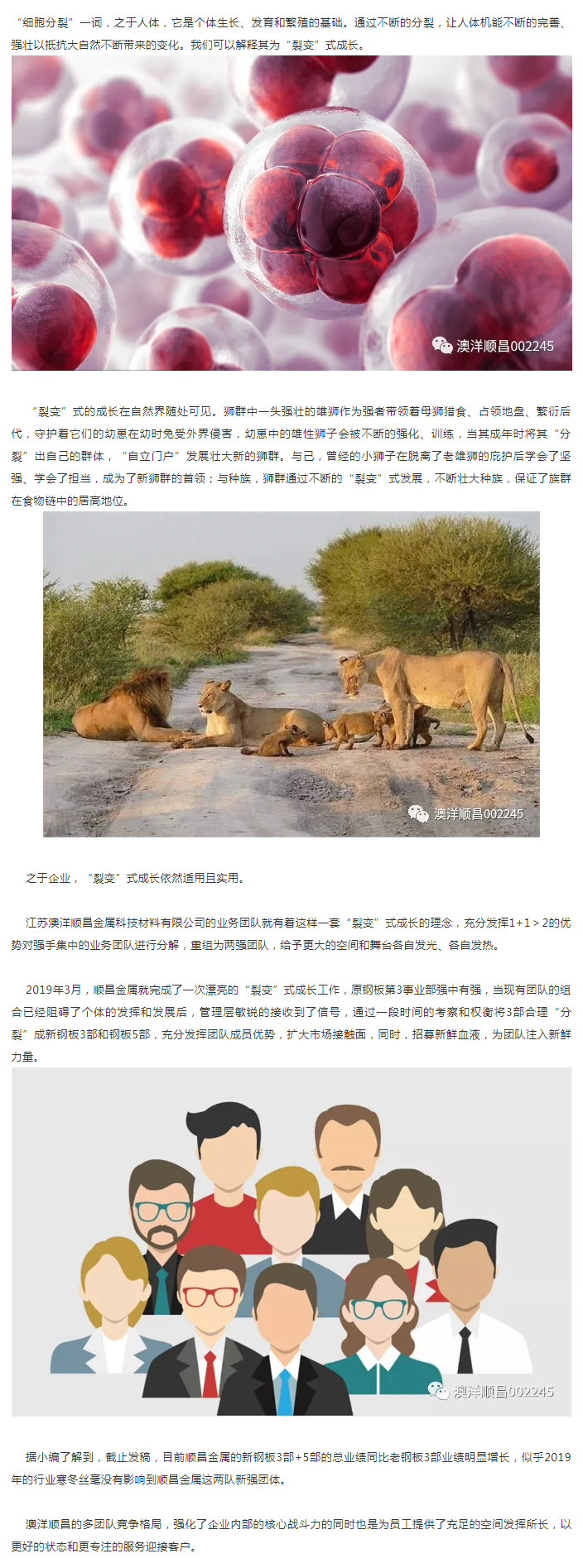 順昌金屬的“裂變”式成長(zhǎng).png